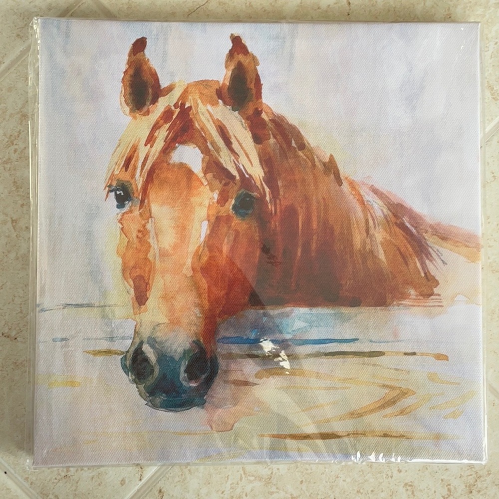 Wall art/painting ~ horse